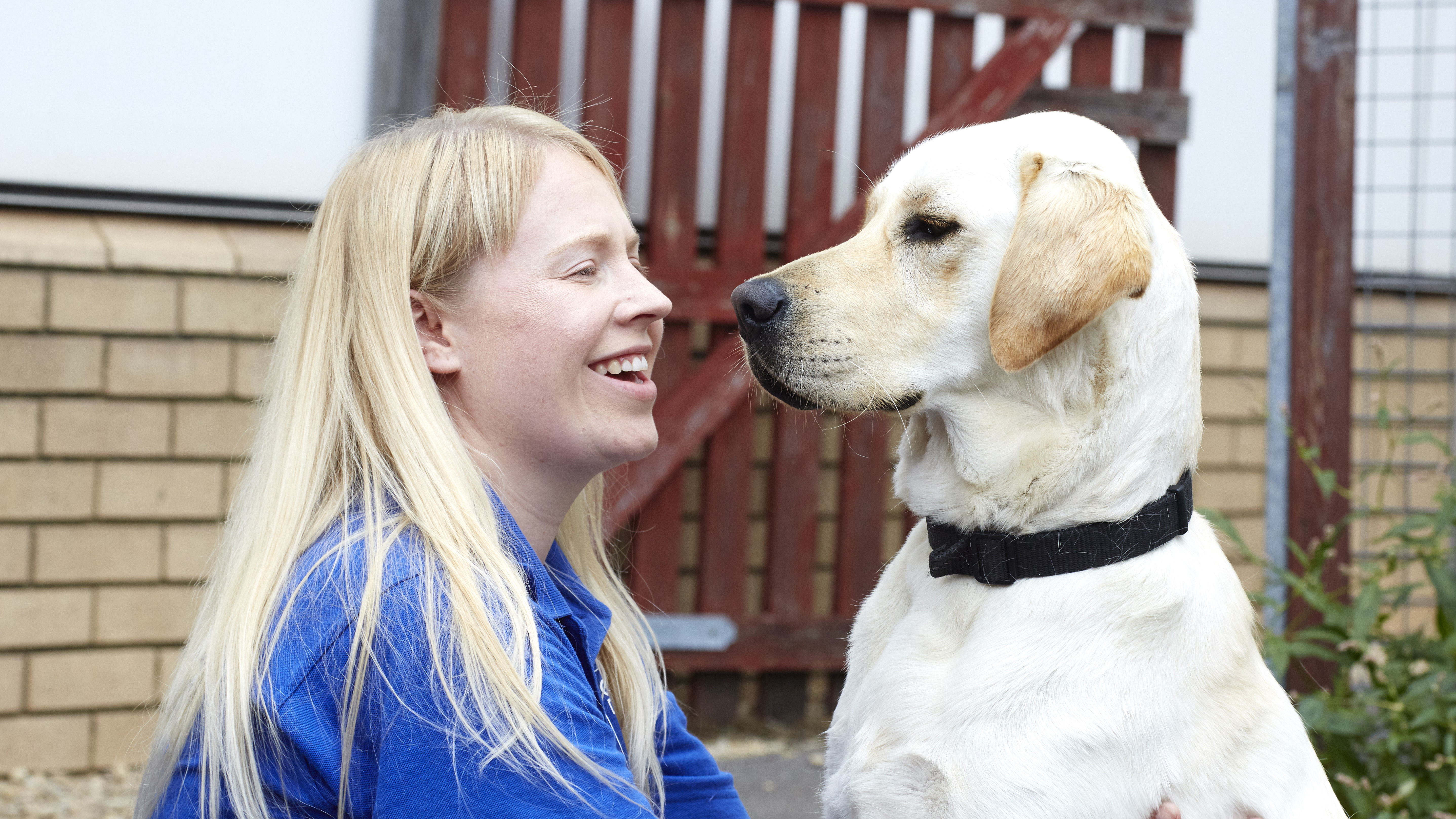 Charity Focus Guide Dogs Cymru Swansea